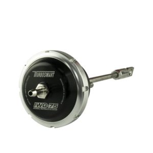 Turbosmart IWG75 Fiat 124 Spider/500T/L/X/Abarth 2012+ 10psi Outer Spring Fitted